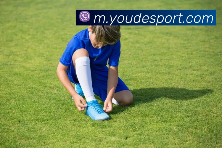 优德体育平台生态图